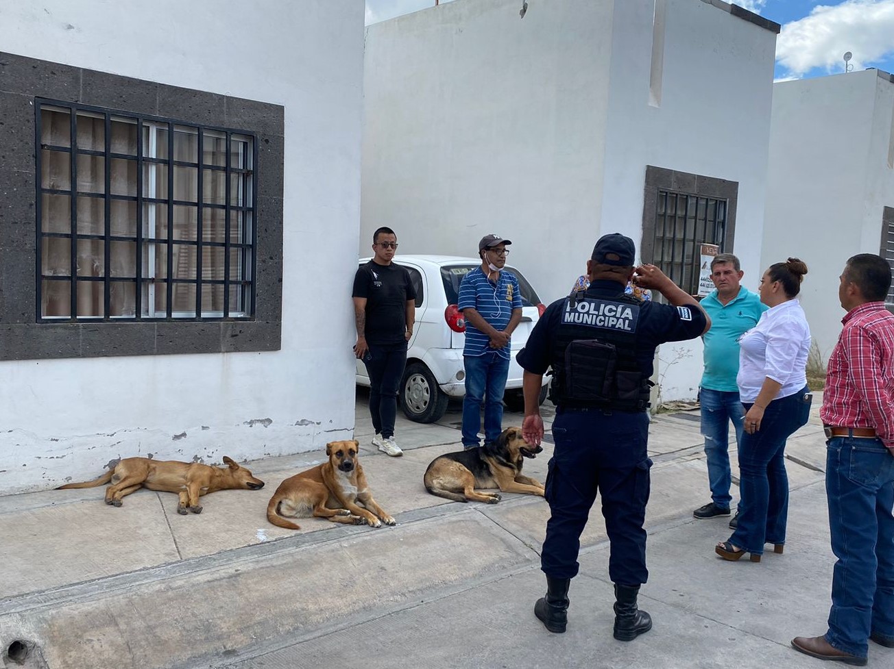 BL ENVENENAMIENTO 19SEPT2023 (2)