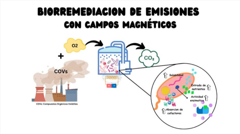 IPICYT PROCESO 01SEPT2023