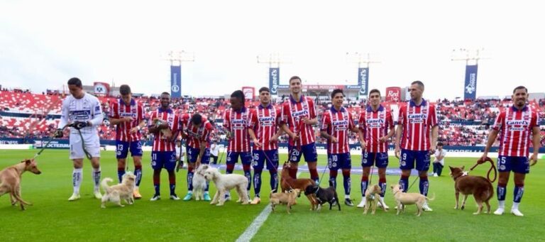 ADOPCIÓN RESPONSABLE 11NOV2023