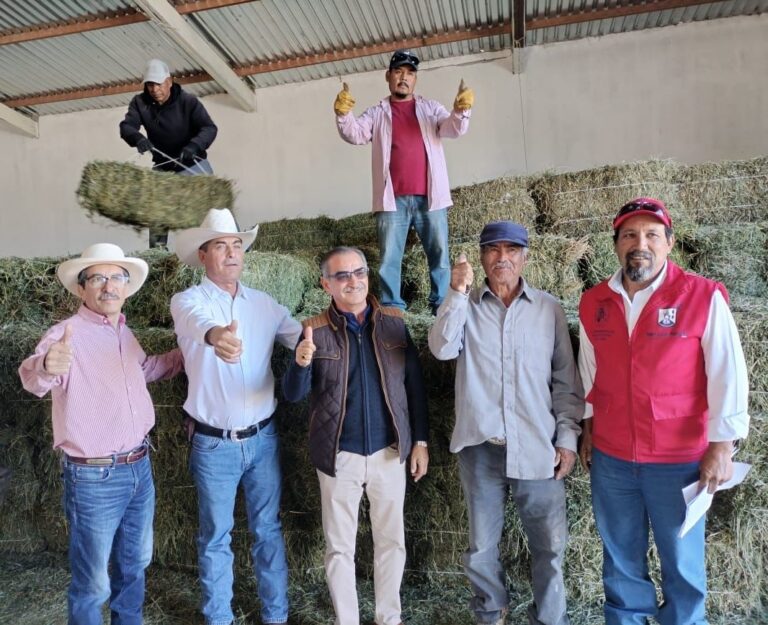 ESTÍMULOS A PRODUCTORES 20NOV2023