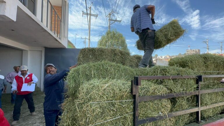 ESTÍMULOS AL CAMPO 14NOV2023
