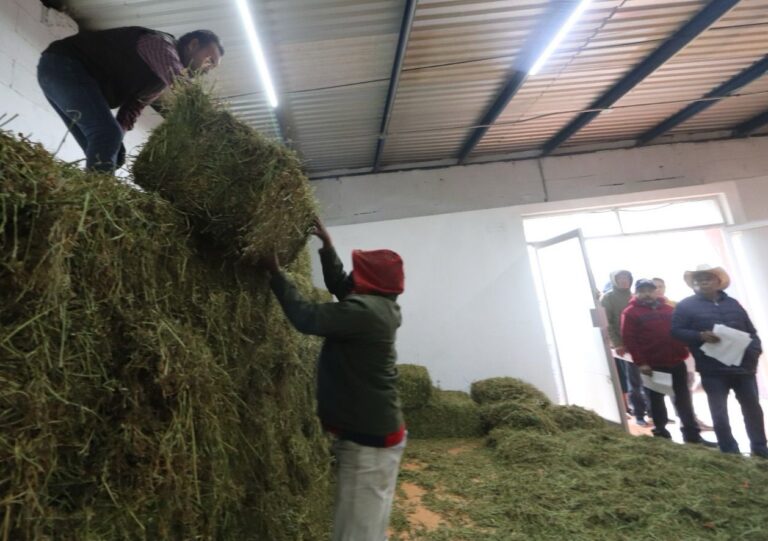 ESTÍMULOS CAMPO 22NOV2023