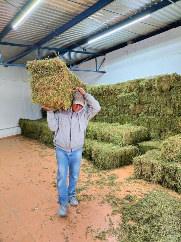 ESTÍMULOS CAMPO 25NOV2023