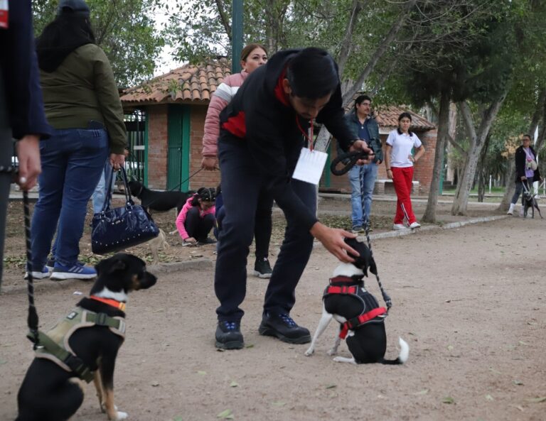 INICIO CURSO 11NOV2023