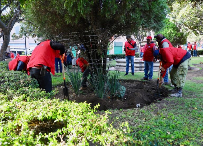 INTERVENCIONES PARQUES 21NOV2023