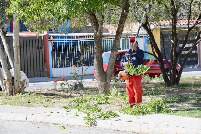 PARQUES Y JARDINES 10NOV2023