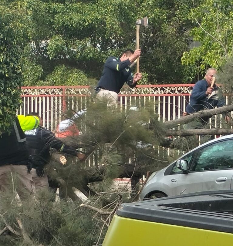 BL VIENTOS 08ENERO2024