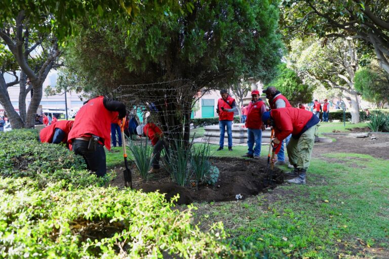 BOLETÍN CSA_3611 Mantenimiento plazas y jardines 03
