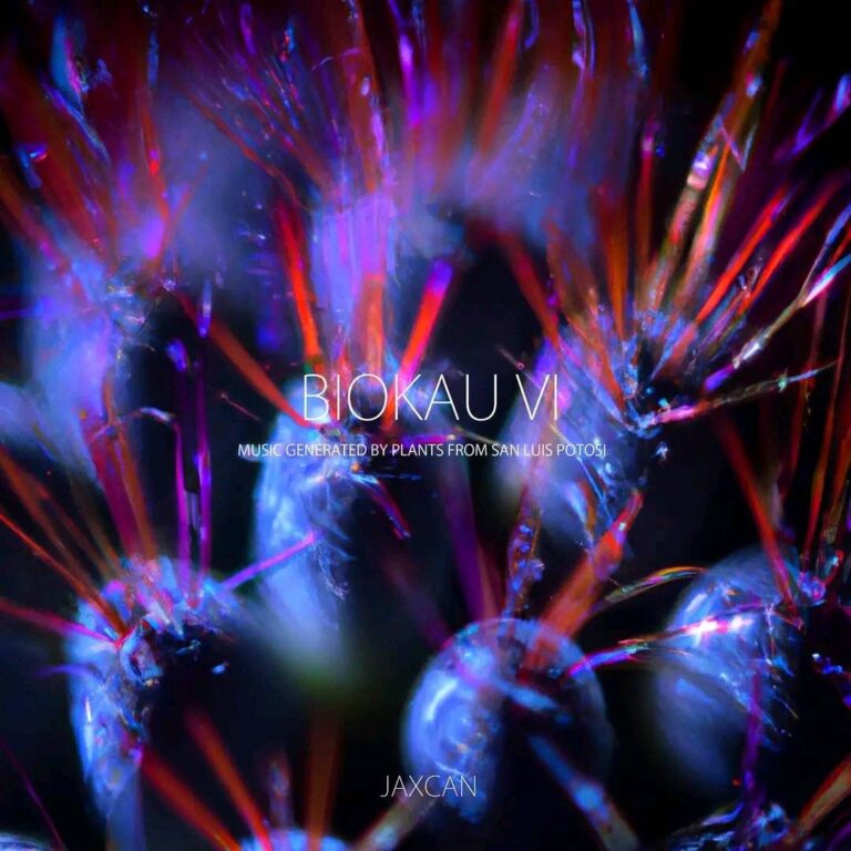 Jaxcan-Biokau VI (1)
