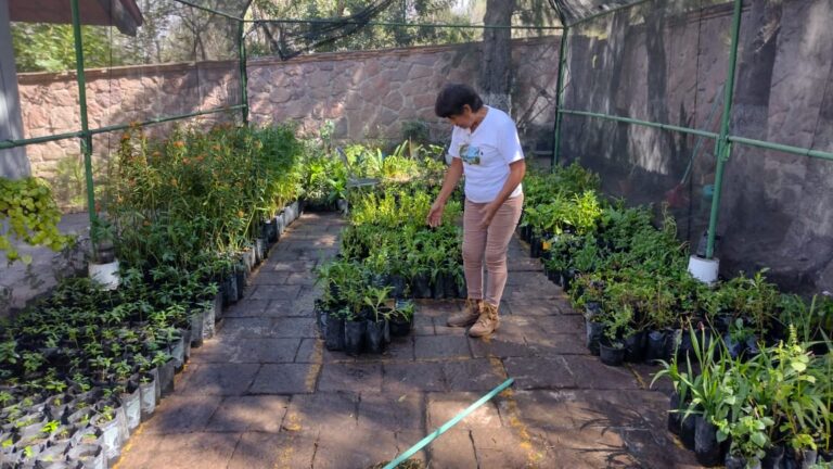 MANTENIMIENTO CIEA 06ENERO2024