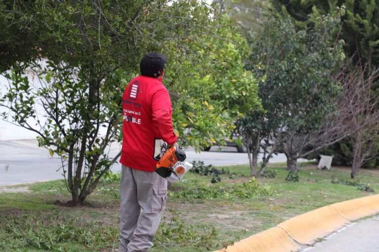 TRABAJOS IMAGEN 08ENERO2024