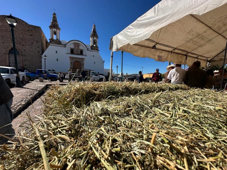 BOLETÍN CSA_3652 Políticas públicas campo 01
