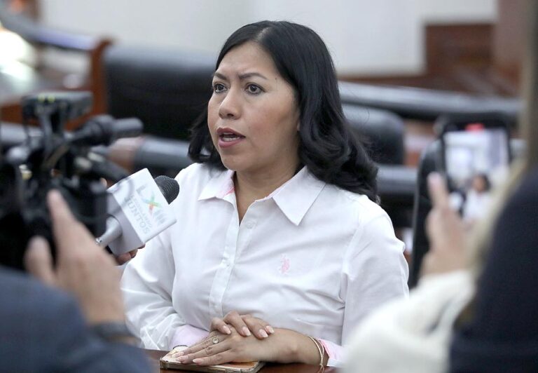 Dip. Bernarda Reyes Hernández