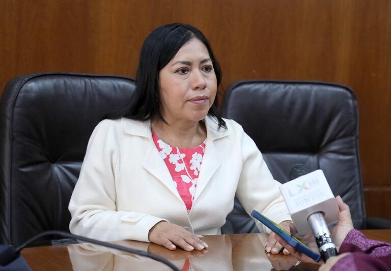 Dip. Bernarda Reyes Hernández