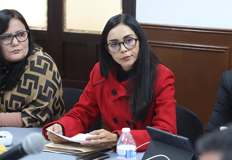 Dip. Cecilia Sellace Ochoa Limón