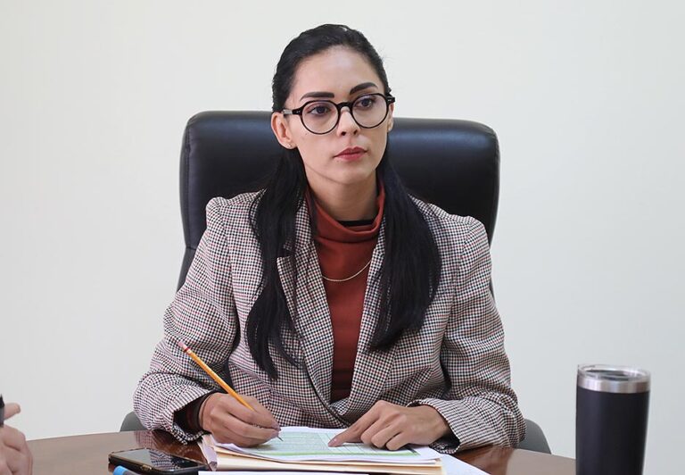Dip. Cecilia Senllace Ochoa Limón
