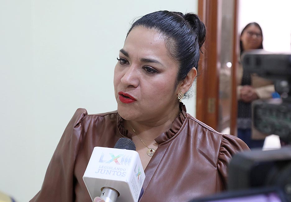 Dip. Emma Idalia Saldaña Guerrero