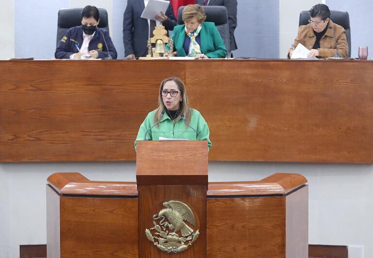 Dip. Liliana Guadalupe Flores Almazán (5)