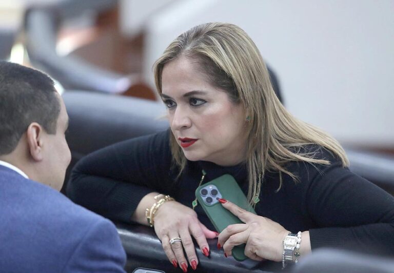Dip. Yolanda Josefina Cepeda Echavarría (2)