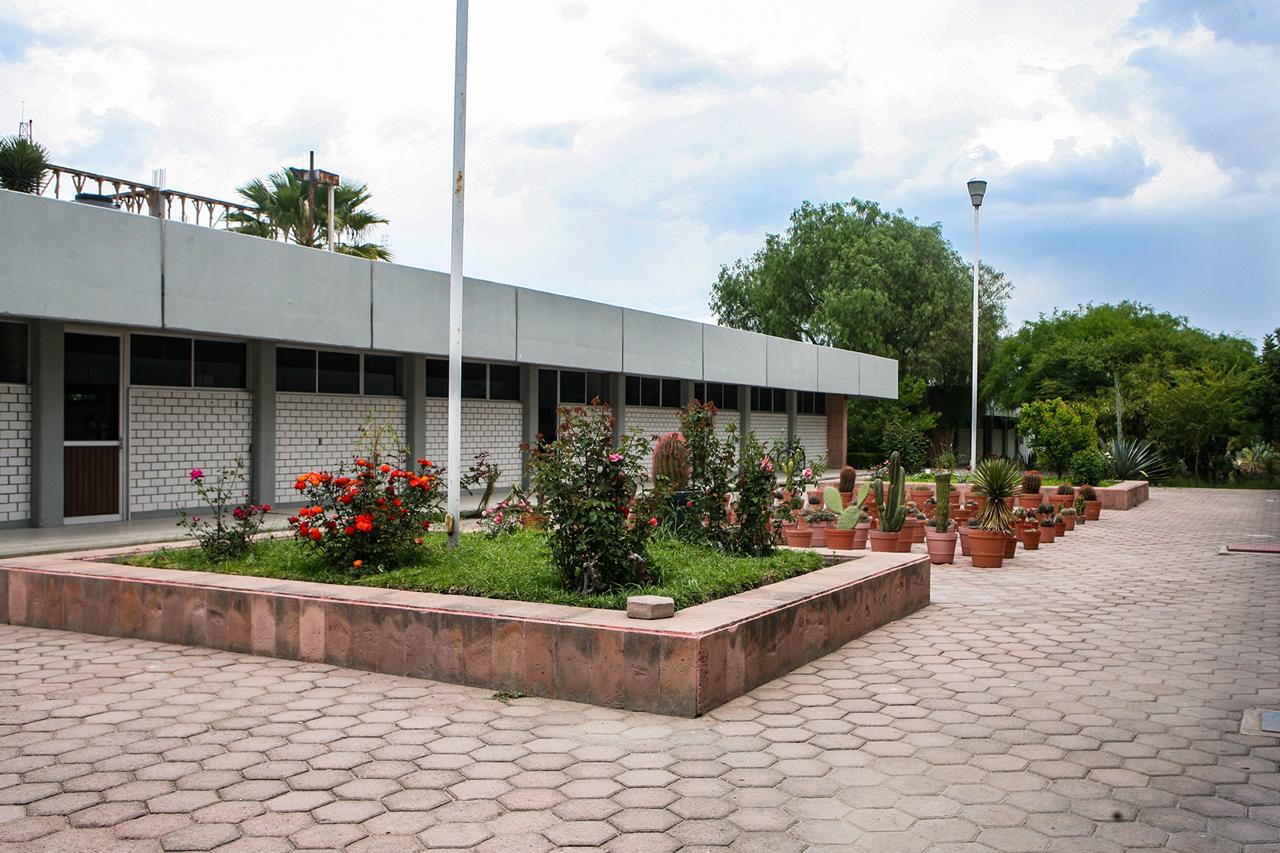 Instituto de Investigación de Zonas Desérticas