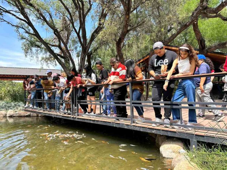 110324 8704, UN ÉXITO EL PICNIC JAPONÉS EN EL PARQUE TANGAMANGA I (2)