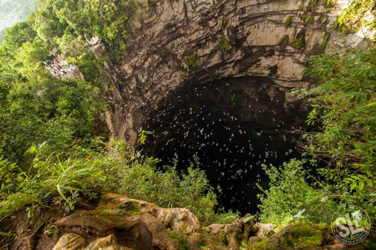 110324 8710, TRES ATRACTIVOS NATURALES DE LA HUASTECA NOMINADOS A MÉXICO DESCONOCIDO 2024 (2)