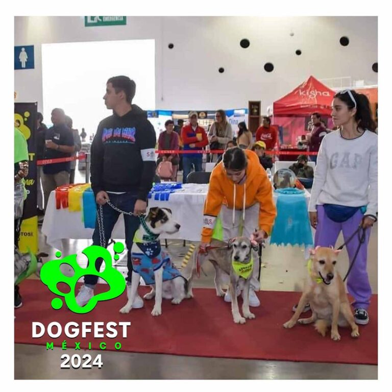 120324 8724, DOGFEST 2024 LLEGA AL CENTRO DE CONVENCIONES DE SAN LUIS POTOSÍ (3)