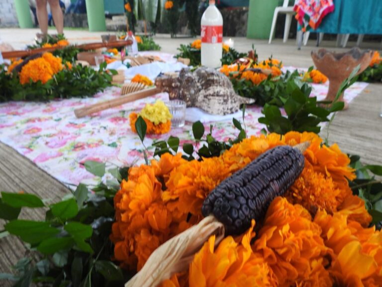 140324 8742, REALIZAN CENSO DE MEDICINA TRADICIONAL (3)