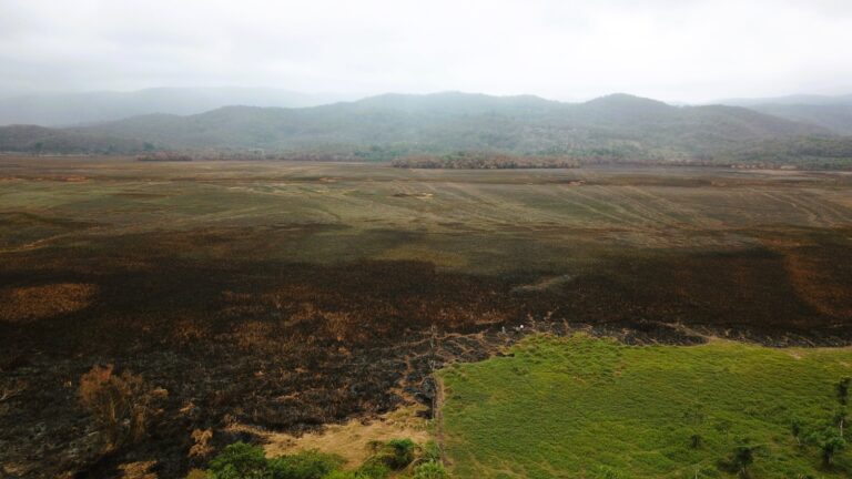 210324 8812, EVALÚAN DAÑOS POR INCENDIO FORESTAL EN CIÉNEGA DE TAMASOPO (3)