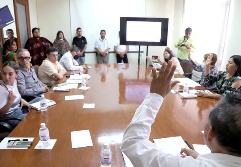 Comisión Asuntos Indígenas