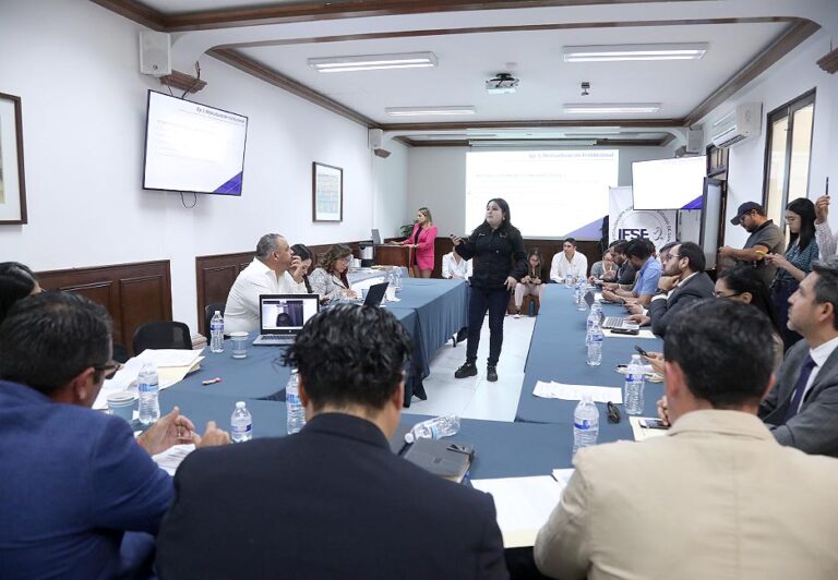 Comisión de Vigilancia