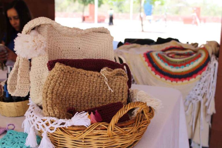 080424 8976, AVANZA ESTRATEGIA A FAVOR DE EMPRENDEDORAS (1)