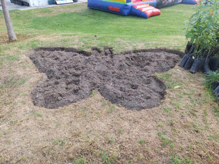 BOLETÍN CSA_3850 Jardines polinizadores 03