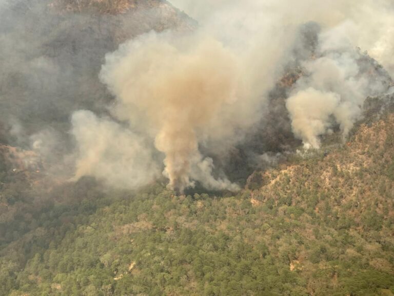 050524 9294, AUTORIDADES DE LOS TRES NIVELES DE GOBIERNO COMBATEN INCENDIO FORESTAL EN SANTA MARÍA DEL RÍO (8)