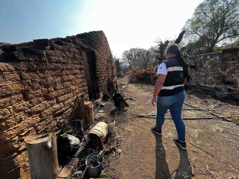 150524 9405, EVALÚAN DAÑOS POR INCENDIO FORESTAL DE SANTA MARÍA DEL RÍO Y TIERRANUEVA (4)