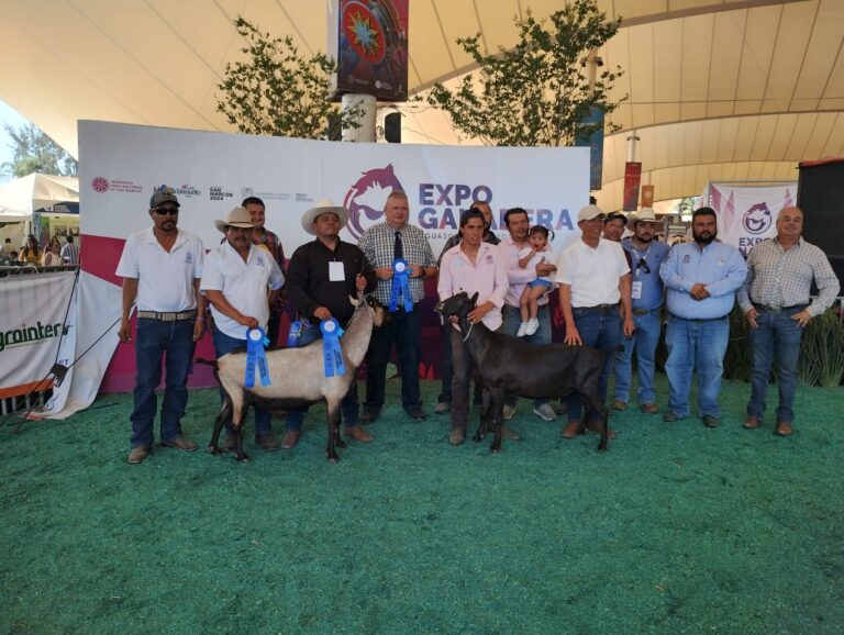 Expo Ganadera de la Feria Nacional de San Marcos (4)