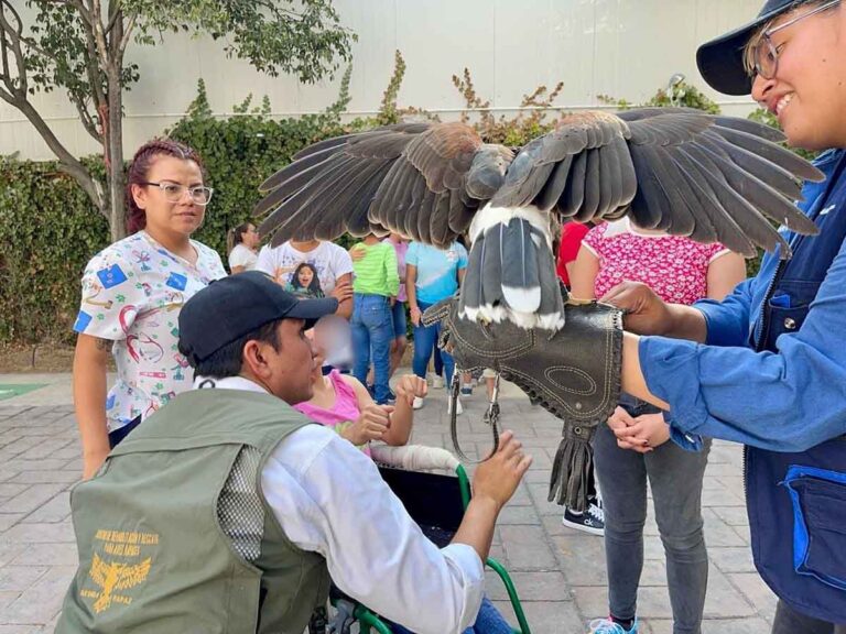 060624 9619, SENSIBILIZAN A LA NIÑEZ BAJO TUTELA DEL ESTADO SOBRE CUIDADO AMBIENTAL (7)