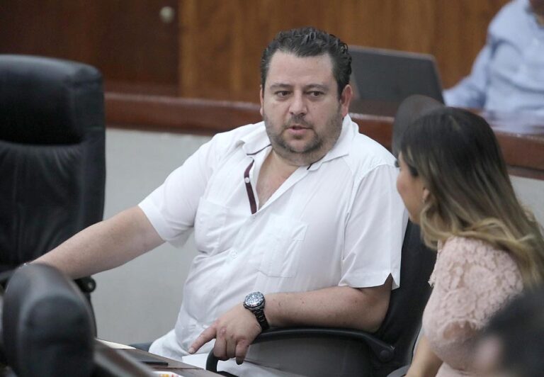 Dip. José Antonio Lorca Valle