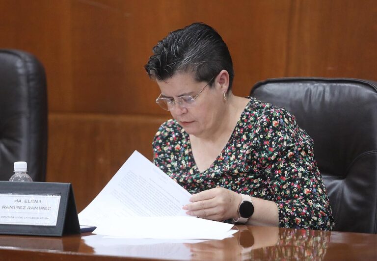 Dip. Ma Elena Ramírez Ramírez-