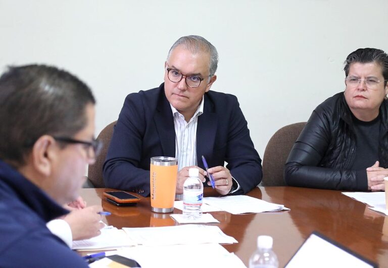 Dip. Héctor Mauricio Ramírez Konishi