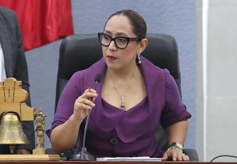 Dip. Liliana Flores Almazán