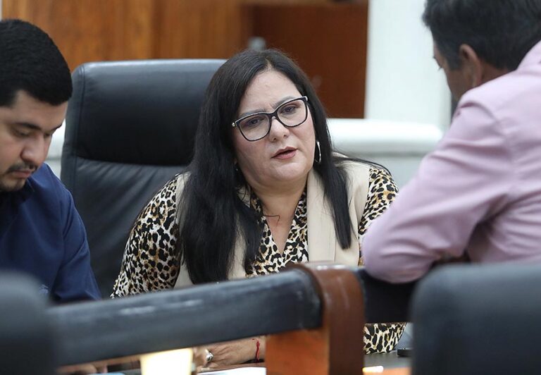 Dip. Martha Patricia Aradillas Aradillas