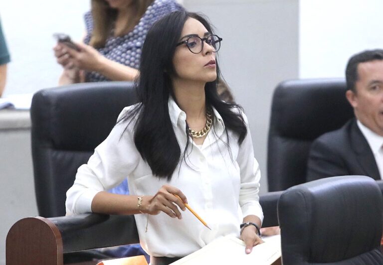 Dip. Cecilia Senllace Ochoa Limón (2)