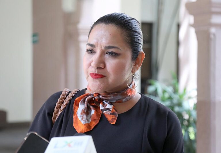 Dip. Emma Idalia Saldaña Guerrero (1)