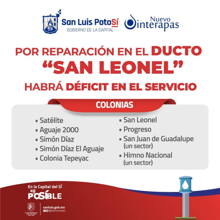 Imagen de WhatsApp 2024-08-08 a las 21.35.40_fd3f1f07