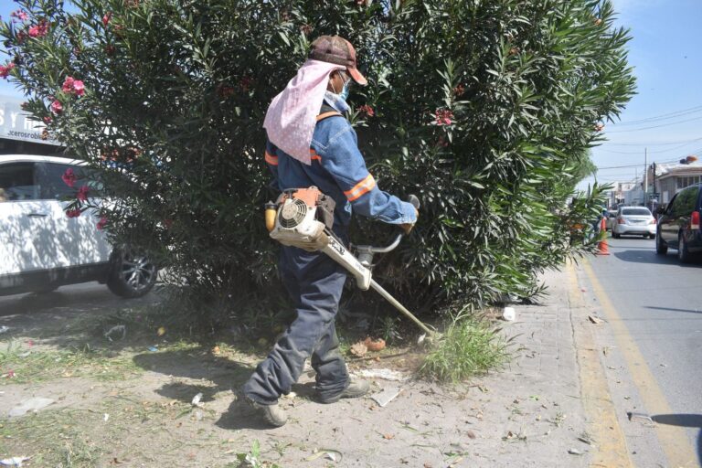 WhatsApp Image 2024-08-09 at 09.53.23