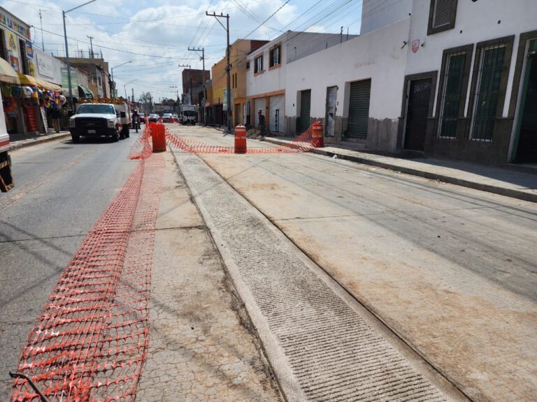 WhatsApp Image 2024-08-09 at 11.52.46