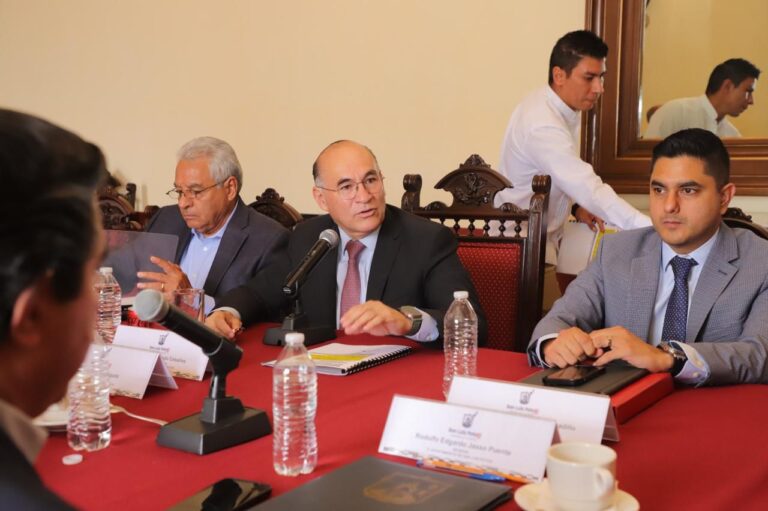 WhatsApp Image 2024-08-09 at 17.28.07