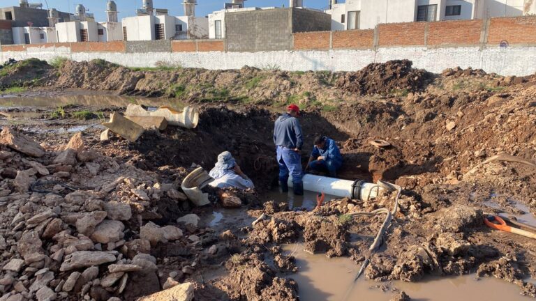 WhatsApp Image 2024-08-10 at 14.23.24