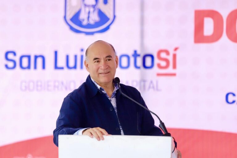 WhatsApp Image 2024-08-10 at 15.43.38